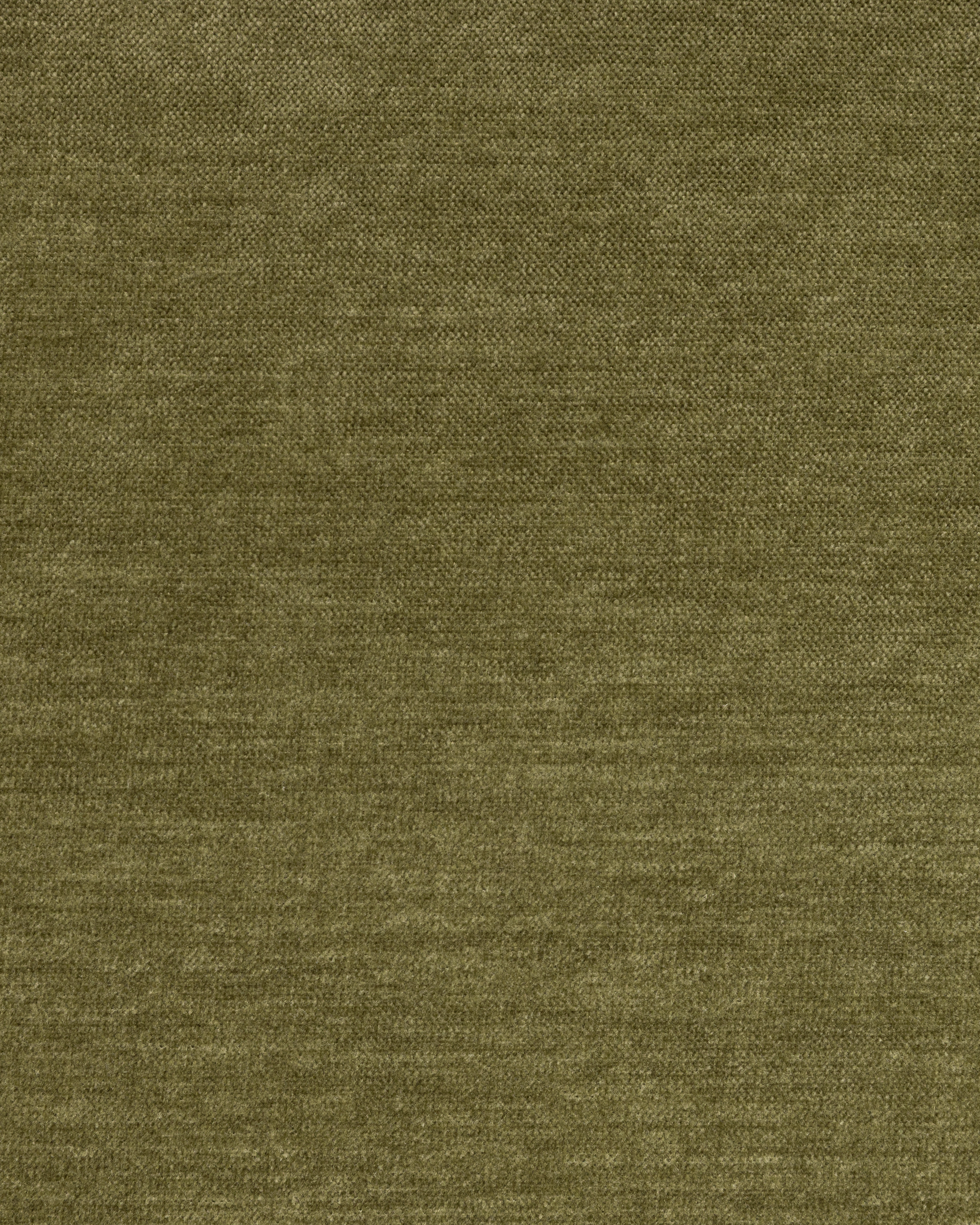 Arna Lounge Chair - Fern